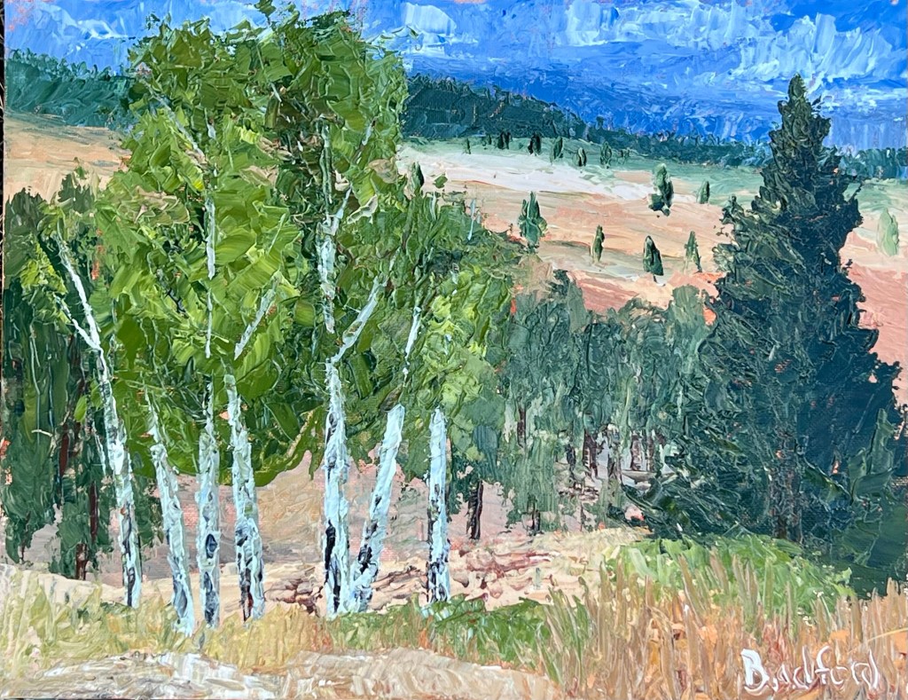 Aspen trees